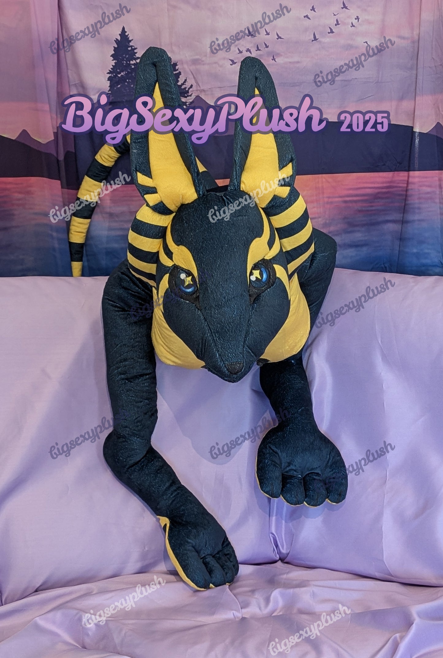 Midnight Sphynubis