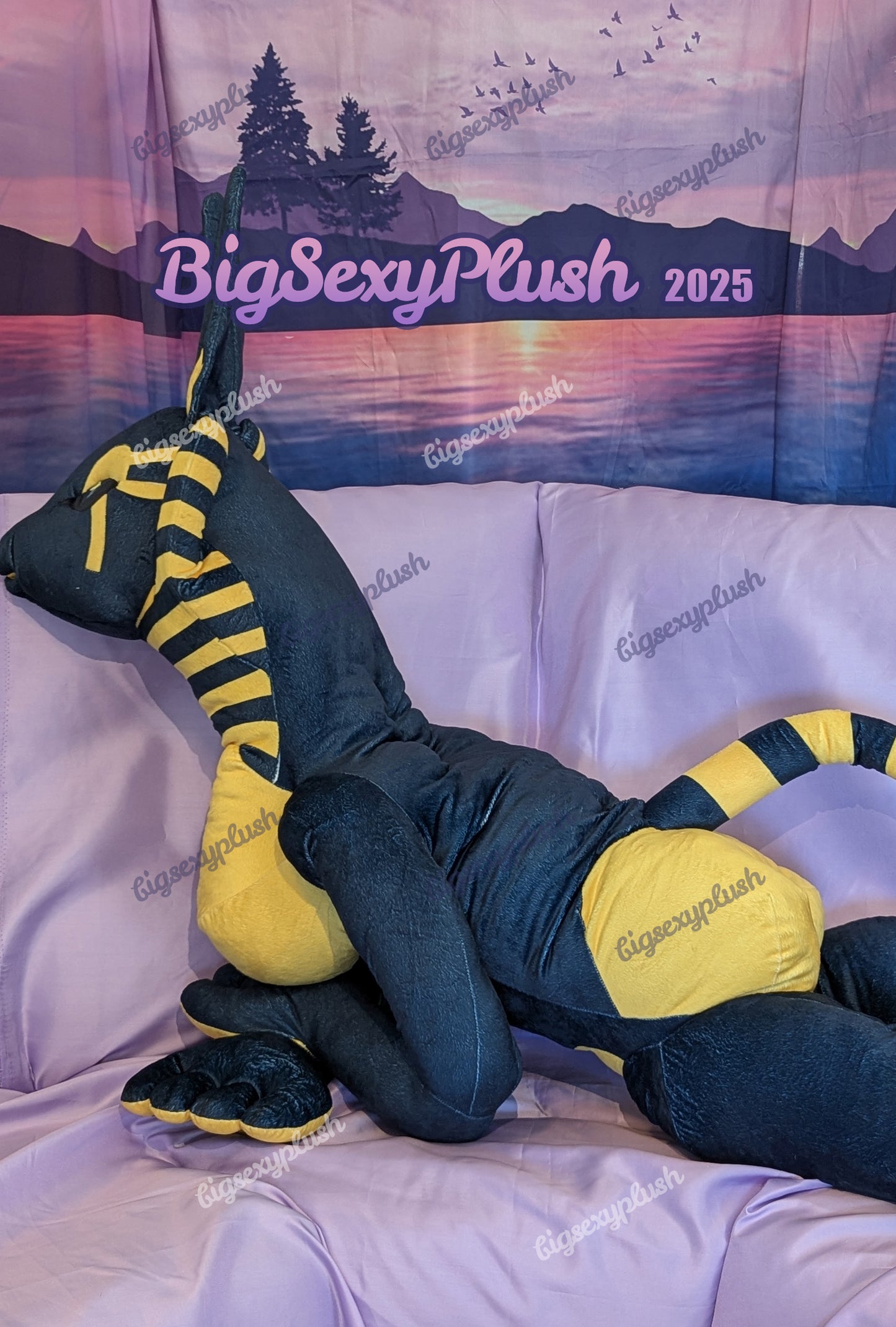 Midnight Sphynubis