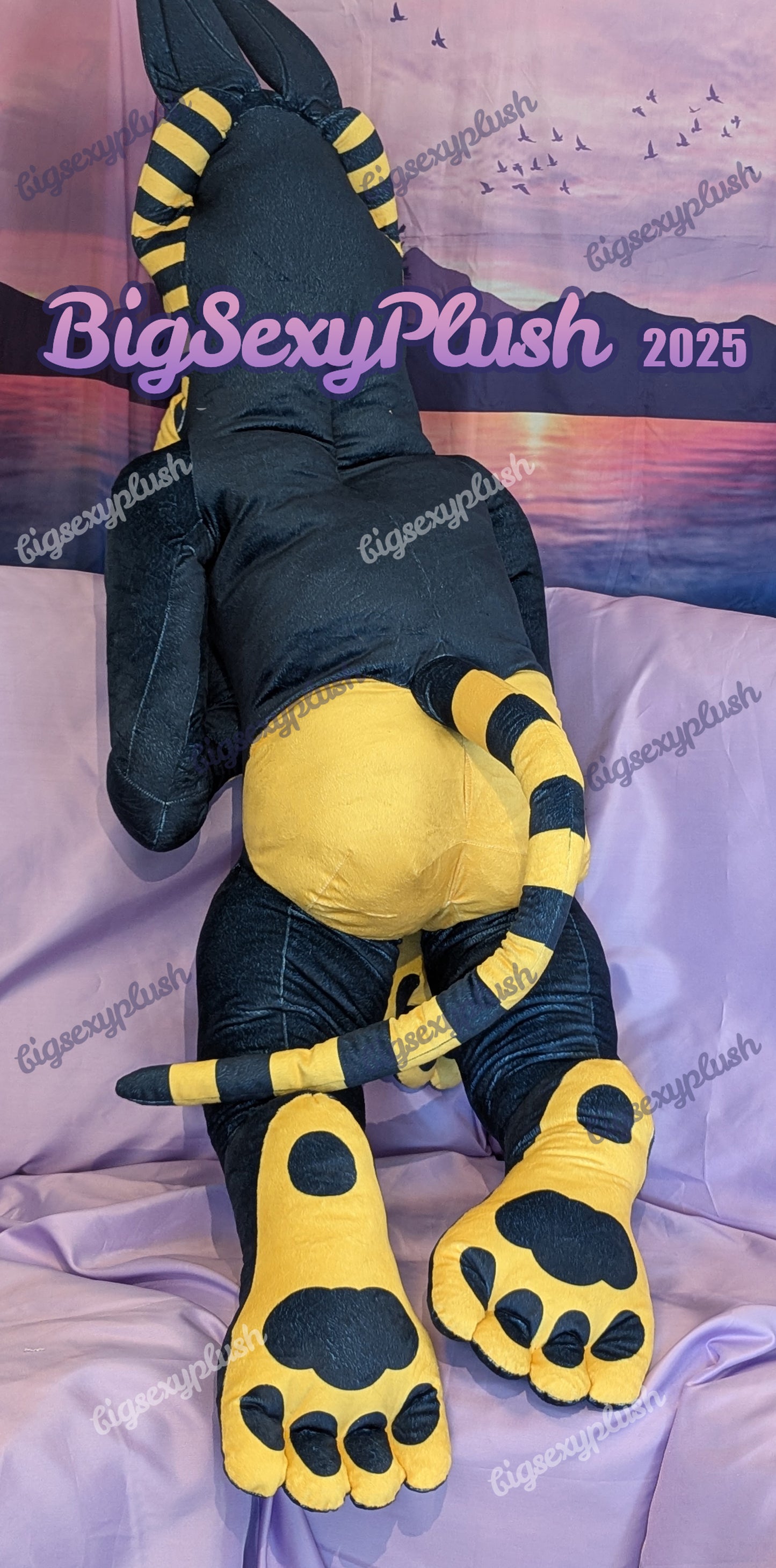 Midnight Sphynubis