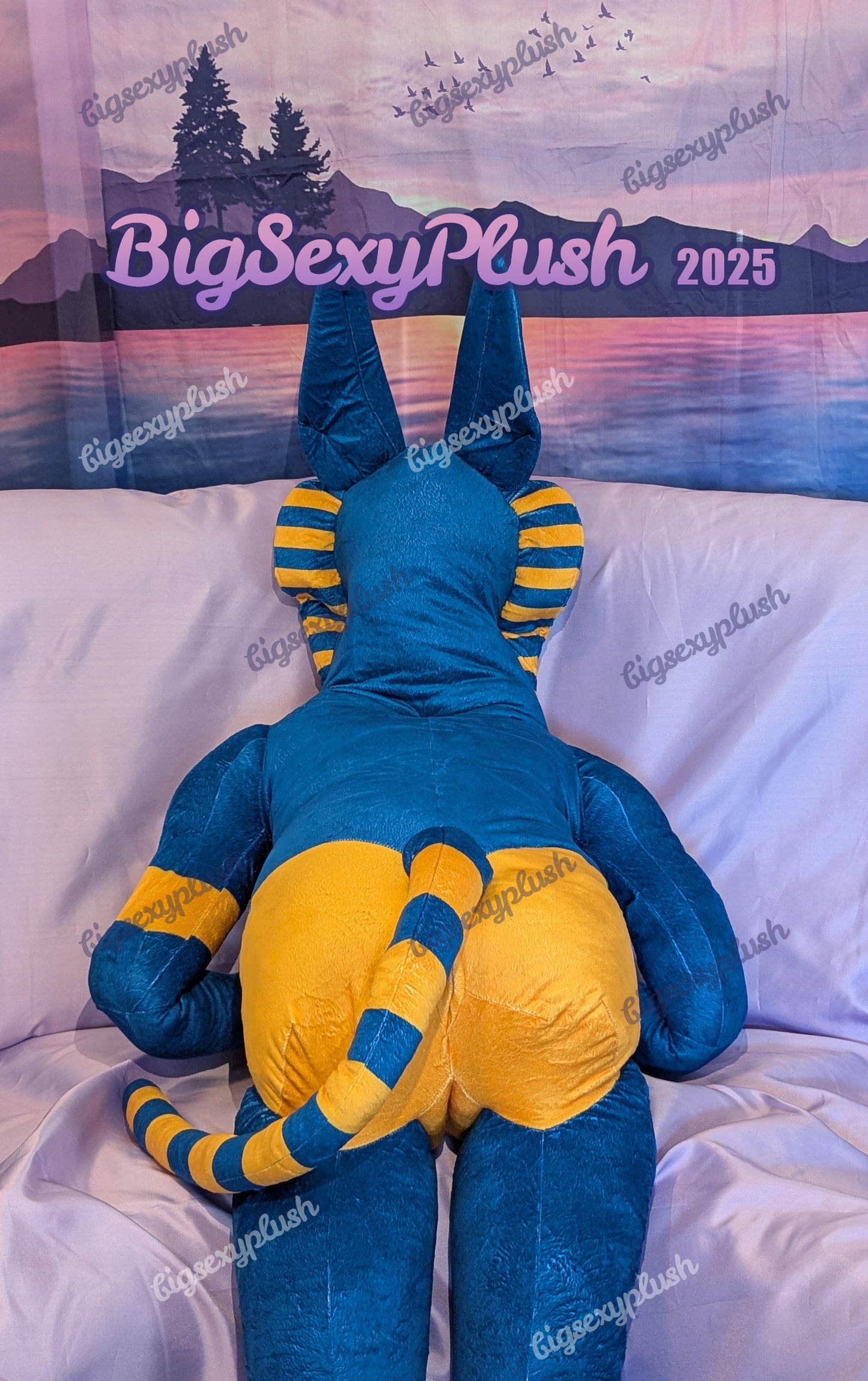 Pharaoh Sphynubis