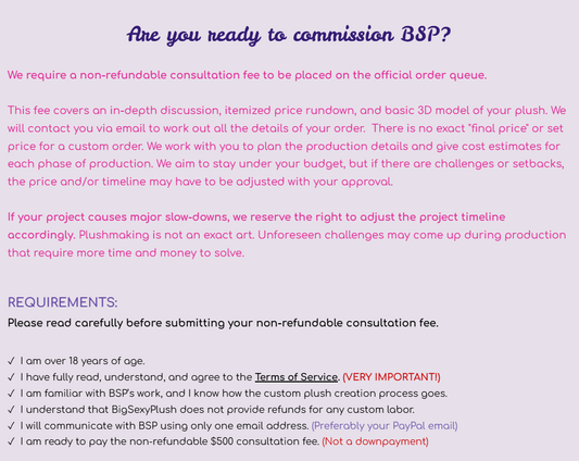 BSP Project Consultation