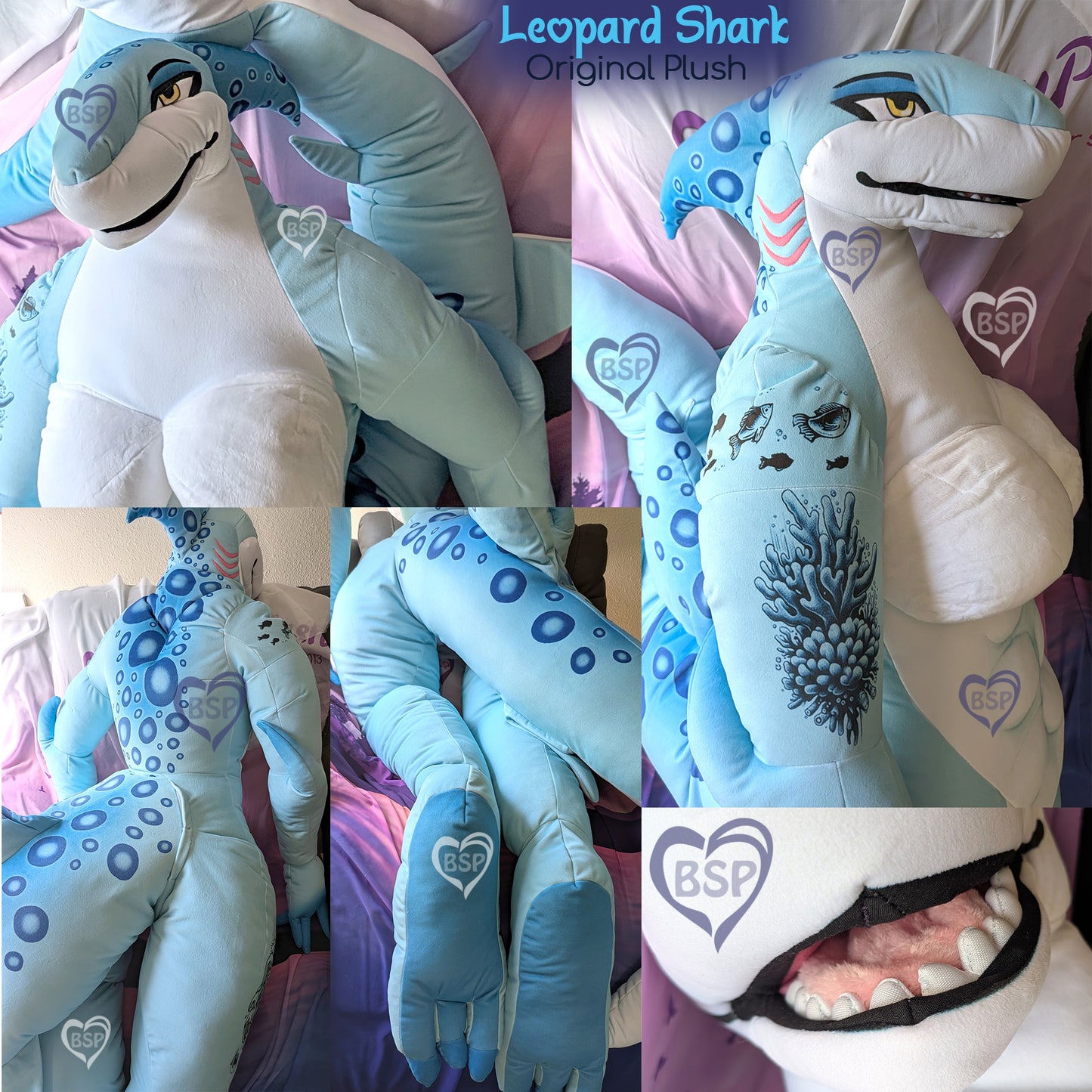 PRE-ORDER: Leopard Shark